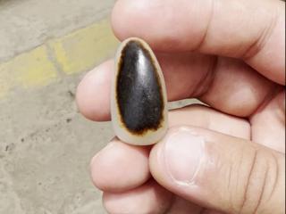 新疆和田玉籽料聚墨黑油皮10.5克.非常霸气评论.看着很舒服.可以做男